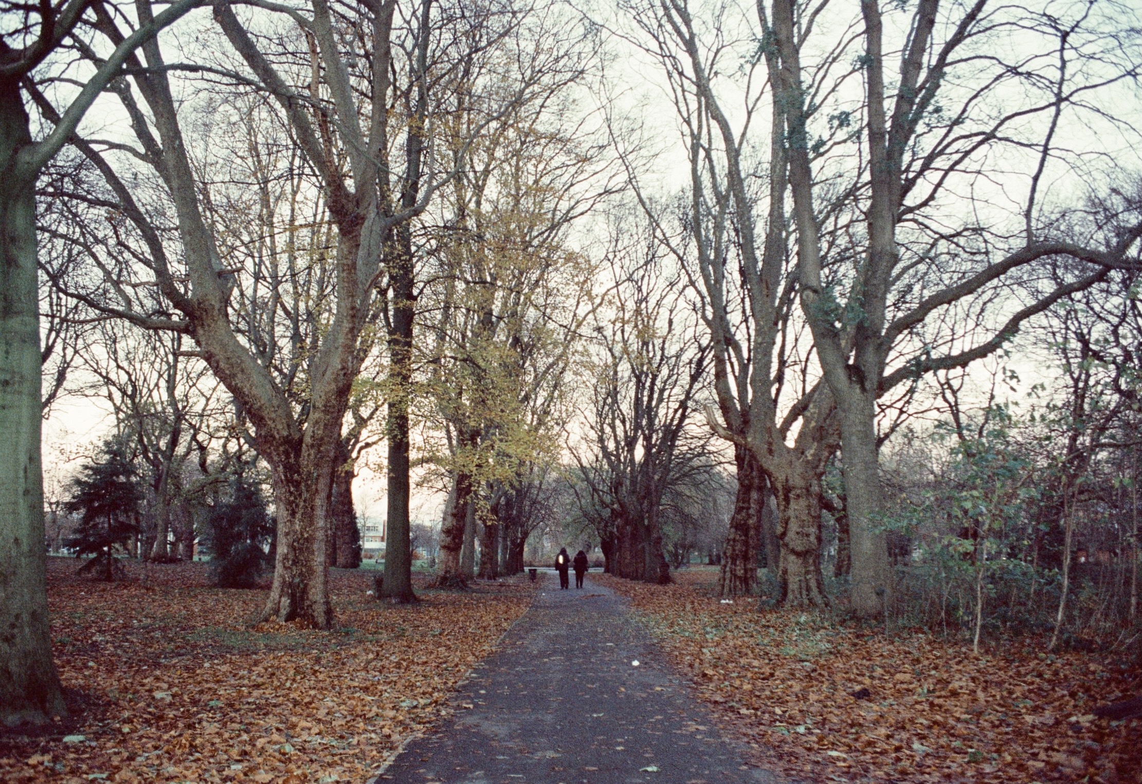 Kodak 500 #9